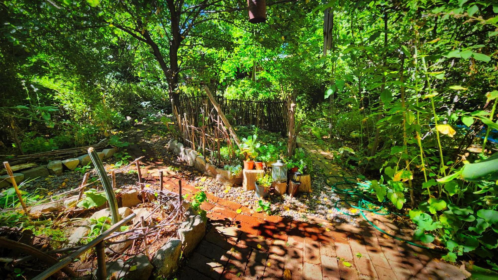 El Jardin, Eco Cabanas Boutique 산 알폰소 외부 사진