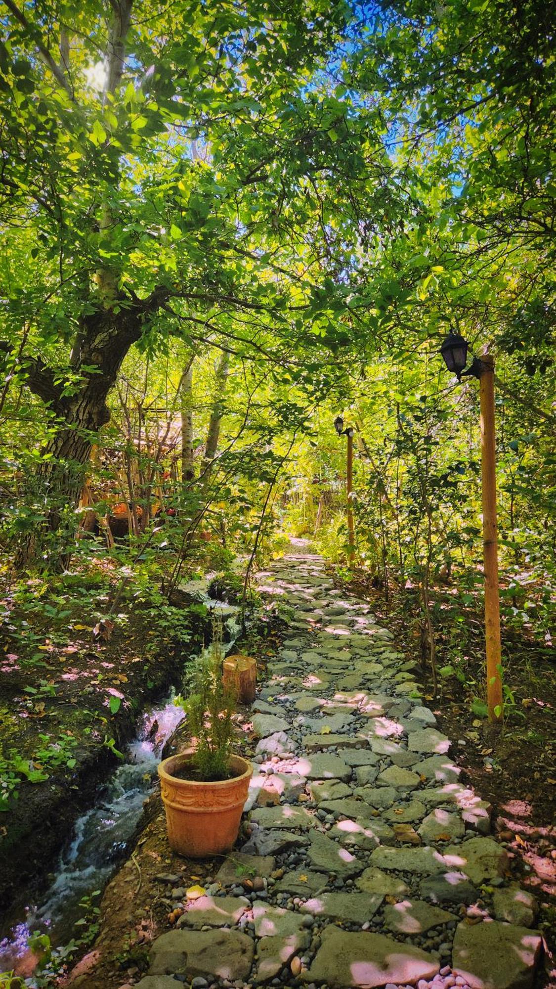 El Jardin, Eco Cabanas Boutique 산 알폰소 외부 사진