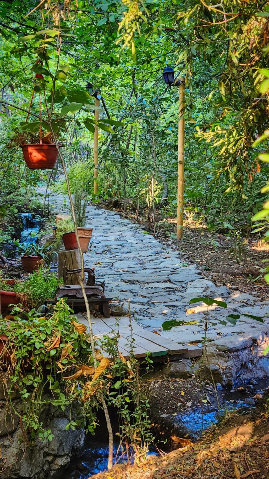 El Jardin, Eco Cabanas Boutique 산 알폰소 외부 사진