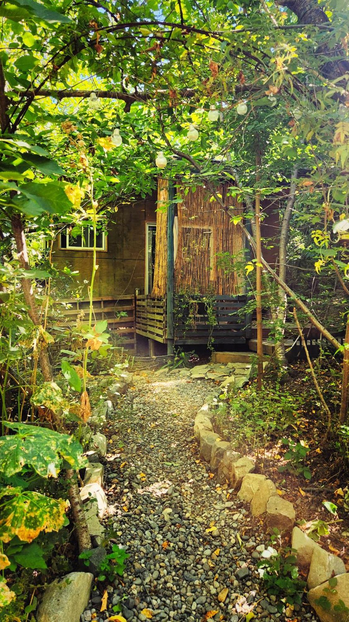 El Jardin, Eco Cabanas Boutique 산 알폰소 외부 사진